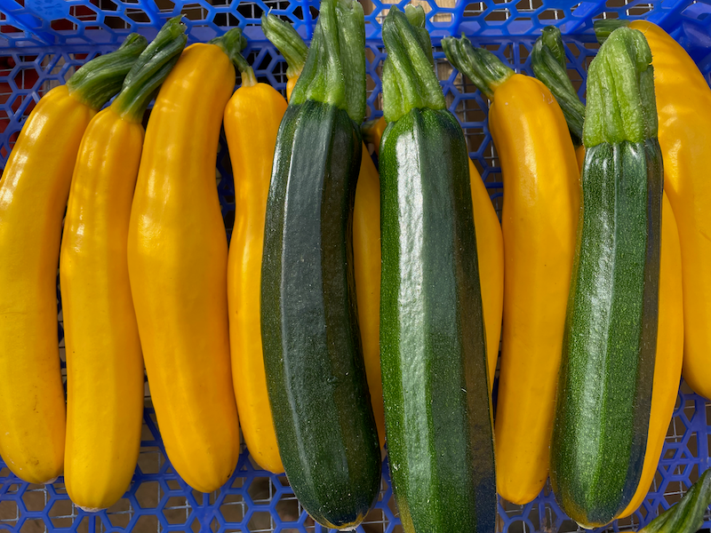 Grænmetisáskrift 2025