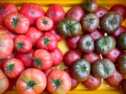 Grænmetisáskrift 2025