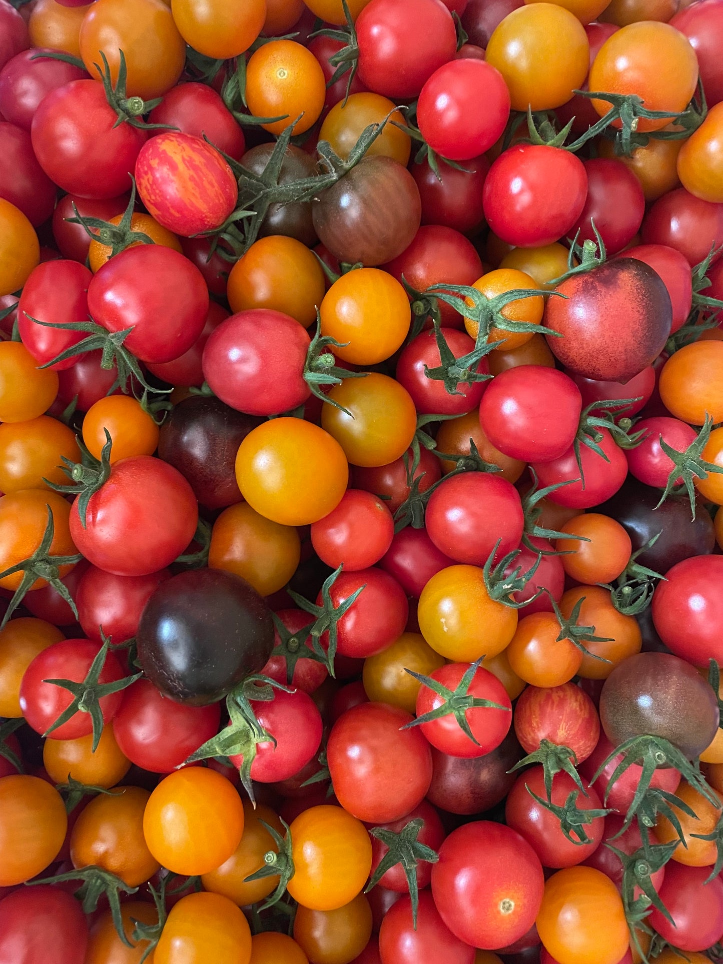 Grænmetisáskrift 2025