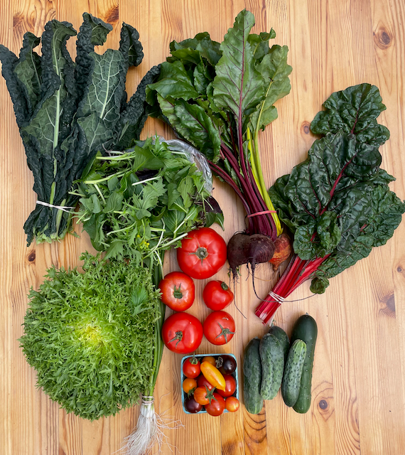 Grænmetisáskrift 2025