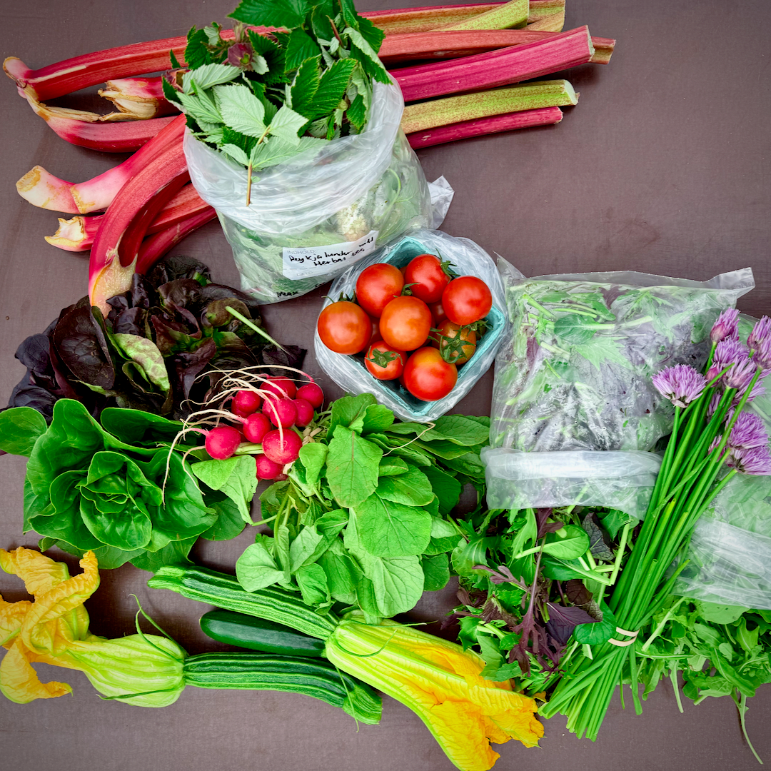 Grænmetisáskrift 2025