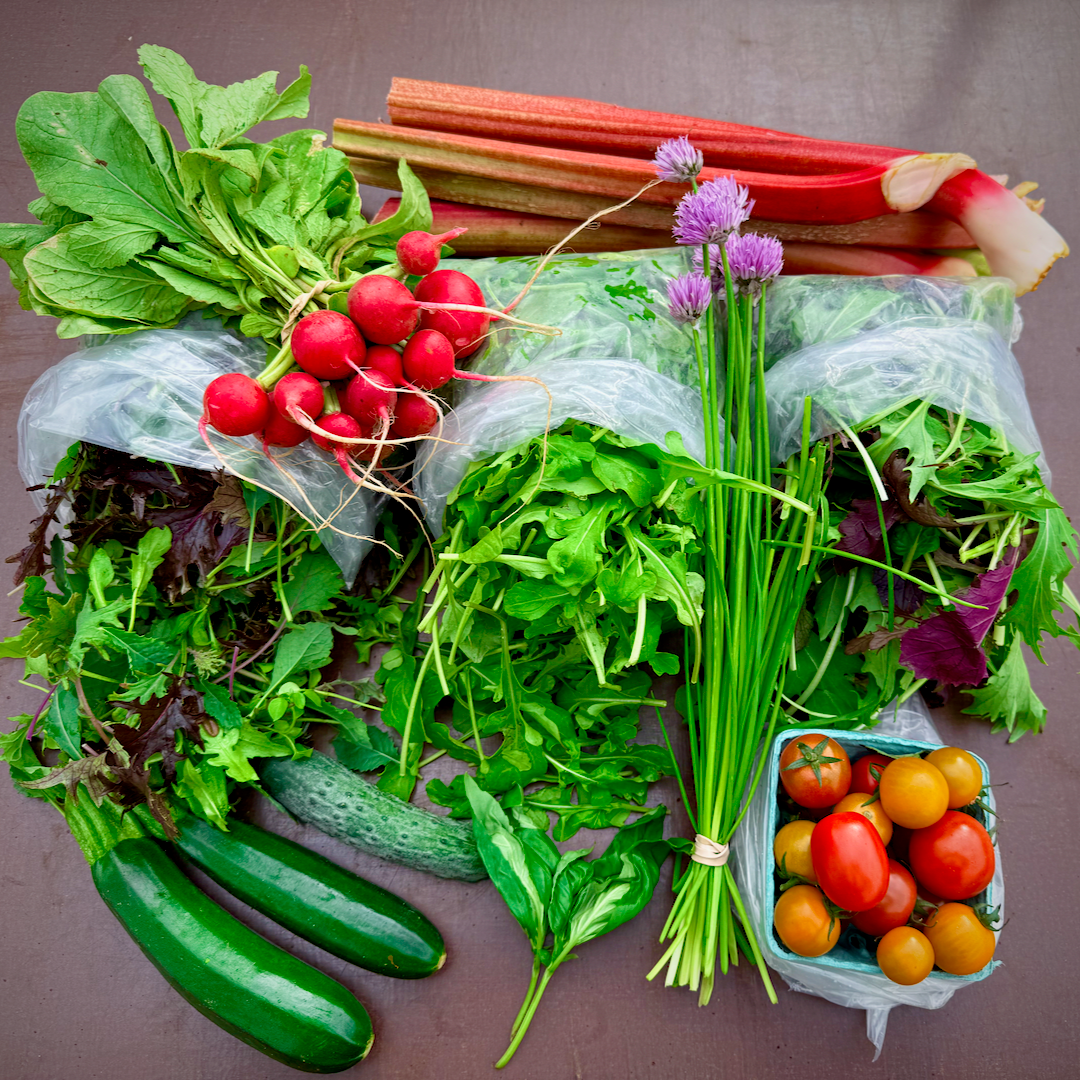 Grænmetisáskrift 2025