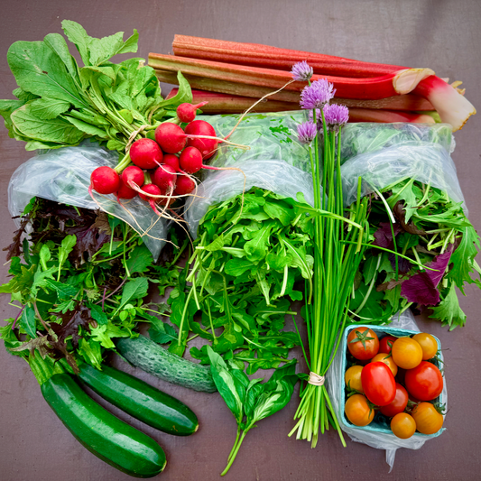 Stakur grænmetispoki