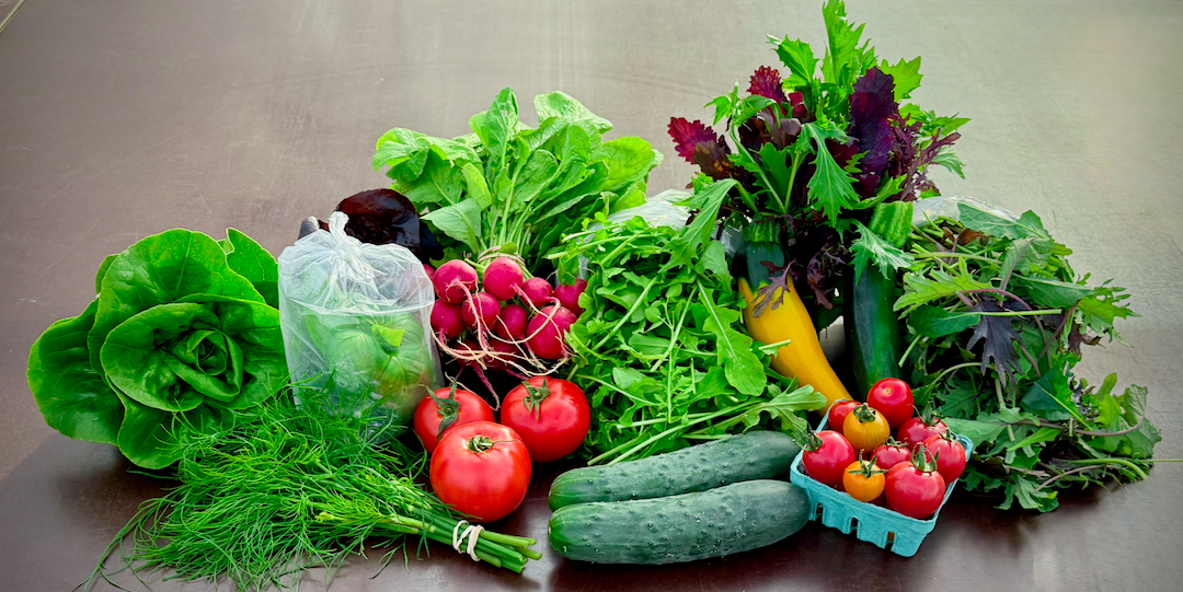 Grænmetisáskrift 2025