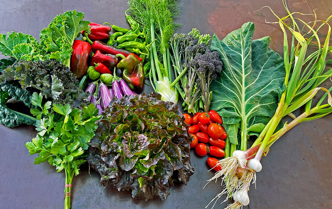 Grænmetisáskrift 2025