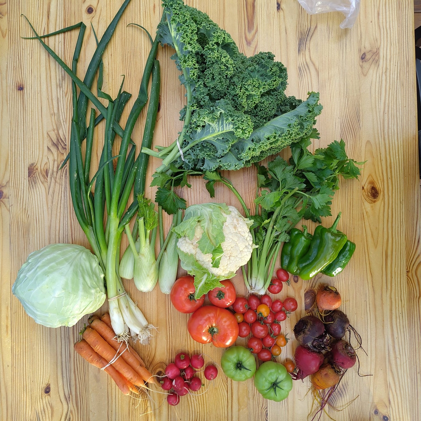 SÍÐASTI (STÓRI!) POKI ÁRSINS 2025